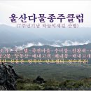 영알 하늘억새길 (울산다물종주클럽7주년) 이미지