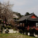 봉선사 - 1079 | 봉선사