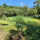 어은농장 이미지