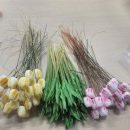 진포중학교 이미지