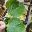 임방울대로801번길1 이미지