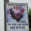 태경횟집 이미지