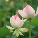 시흥등기소 이미지