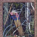 바바나무 이미지