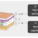 압구정아이비성형외과의원 이미지