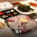 회인시장 | 속초 회포장 맛집 회가 중앙시장 근처 가성비 모듬회 포장후기