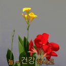 사람을 귀히 여기라 이미지