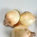 농업회사법인 웰빙주식회사 이미지