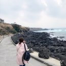 딸기네 민박 이미지