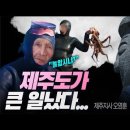 '제주도가 큰일났습니다' Jesus Wave TV 이미지