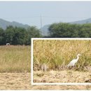 김포한강 3로 이미지