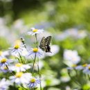 실생활에 활용하는 힐링타로 클래스 이미지