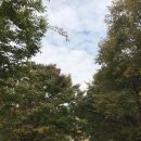 물가펜션 이미지