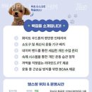 백짐 (100GYM) 이미지