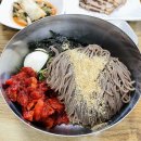 양푼이비빔밥 | (용인/유림동) 한터 막국수 양푼이제육비빔밥 맛집 정담식당 후기 내돈내산