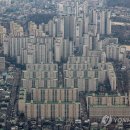 잠실석유 이미지