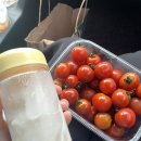 초당소금빵