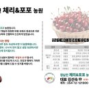 체리포포