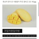 태국여행ㅣ치앙마이 내가 또 갈곳만 6군데 추천해드림