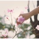 따사로운 이미지
