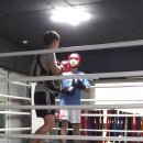 복싱 체육관 네이버블로그