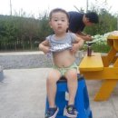 솔향기힐링펜션 이미지