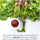 밥상은보약 이미지