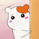타짜PC 이미지