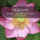 연꽃 이미지