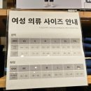 꽃다발이 5,900원 실화? 없는게 없는 MUJI 무인양품 무지 강남점 방문후기