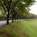 화랑유원지 이미지