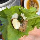 원기회관 | 평창여행 대관령맛집 &#34;금천회관&#34; 물갈비 후기