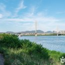 한강시민공원(자연학습장) 네이버블로그
