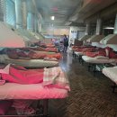 염곡안1길 25 (3) | 담낭암 전이 복막암 생존율 '1년' 절망을 넘어선 수술 후 투병 일기