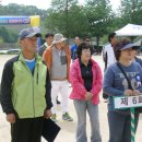 옹정초등학교 Daum카페
