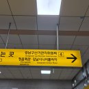 채아왁싱 | 선정릉역 미용실 궁서채 선릉역점 아린 디자이너님 벨벳펌 솔직후기 평생 이 머리로만 박제하게 해주세오