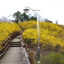 응봉공원4 이미지