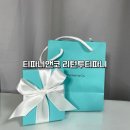 (주)키디자인 | [패션] 티파니앤코 리턴투티파니 하트앤키 목걸이｜내돈내산 5년 착용후기, 줄 끊어짐 교체