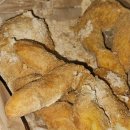 화곡동 맛집, 발산 맛집 콩꼬물 꽈배기 내돈내산!!솔직 후기
