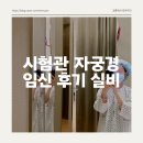 자궁경 수술 후 임신 후기, 비용 실비 보험까지