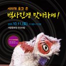 청주민족예술제 - 춤 공연 | 2025 거창민족예술제(거창창포원) 다녀왔어요.- 안병권 기자