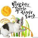 와플대학방학역캠퍼스