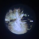 데상트(DESCENTE) | OJOS X DESCENTE 오호스 데상트 콜라보 팝업 후기🪽+착샷, 세일, Luciferin 플래시빔