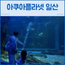 아쿠아플라넷 일산 | 아쿠아플라넷 일산 경기 고양 아이랑 실내 가볼만한 곳 추천