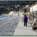 망치해수욕장 이미지