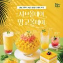 데이올데이