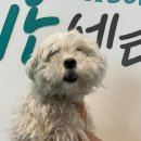 원코퍼레이션 | 7/11~7/17