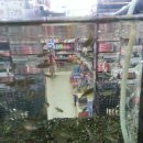 DC킹마트 이미지