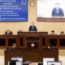 295 이미지