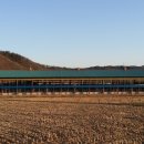 매실한우농장 이미지